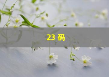 23 码